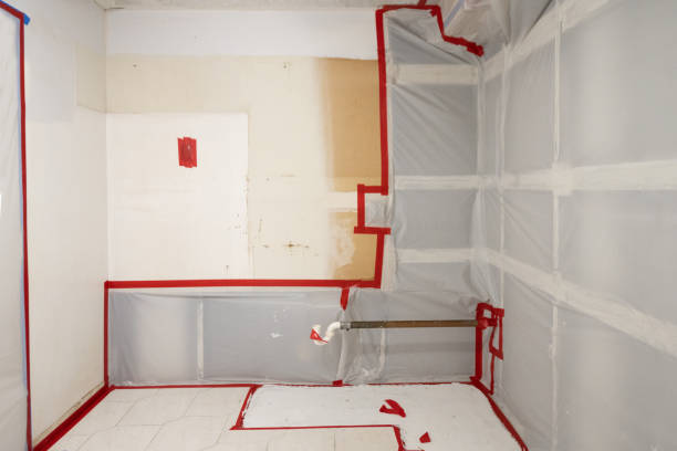 Best HVAC Mold Inspection and Cleaning  in Seville, FL