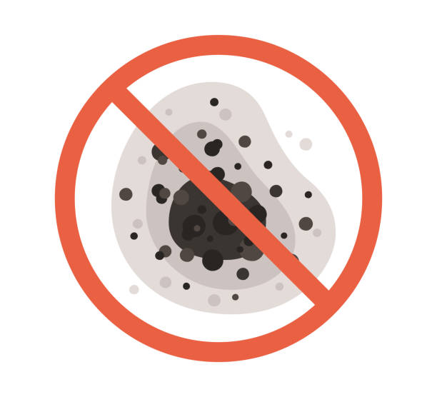 Best Emergency Mold Remediation  in Seville, FL