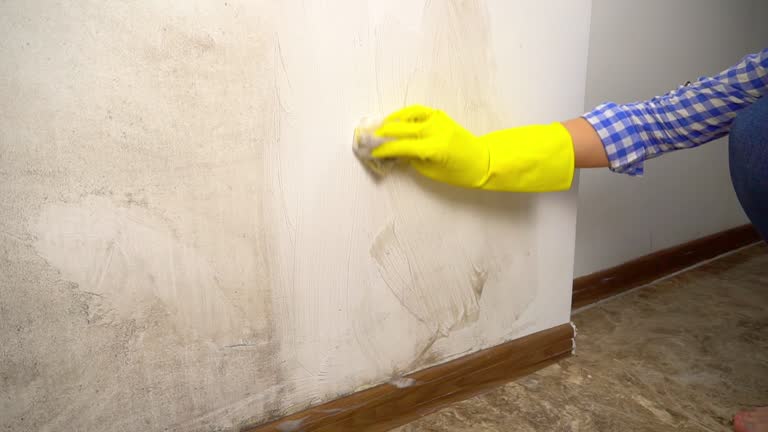 Mold Remediation for Rental Properties