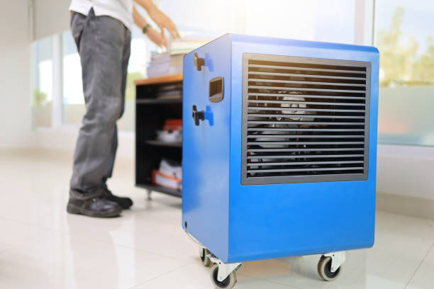 Best Forensic Mold Investigation  in Seville, FL